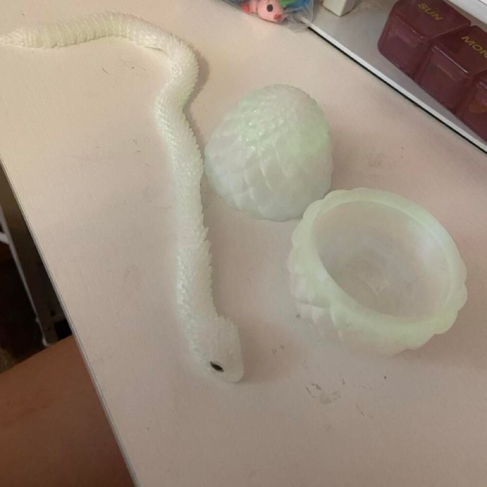 Snake and Egg 3D Printed Toy